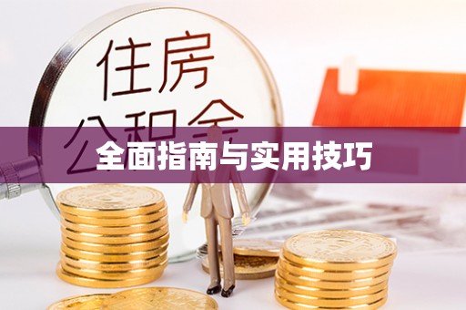 谯城全面指南与实用技巧